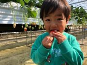 上村農園の写真2