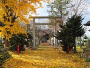 HORTO札幌の写真4