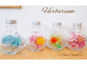 ≪Sun Smile≫の写真2