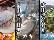 広田湾遊漁船組合の写真3