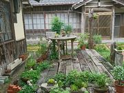 森ノヲクの写真1