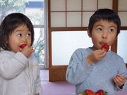吉村農園の写真3