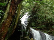 道永の滝の写真2