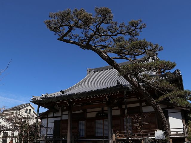 現光寺