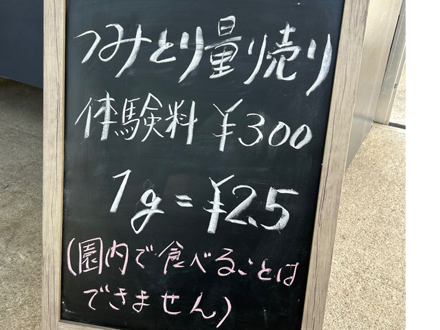摘み取り体験_南知多いちごの里