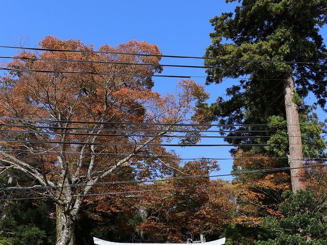 酒垂神社