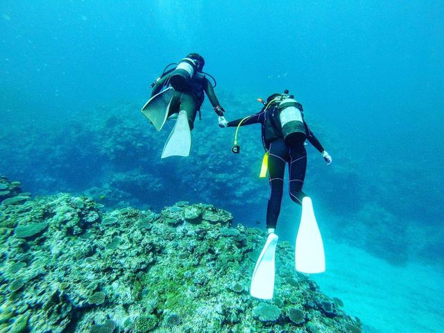 Ponoponoポノポノ