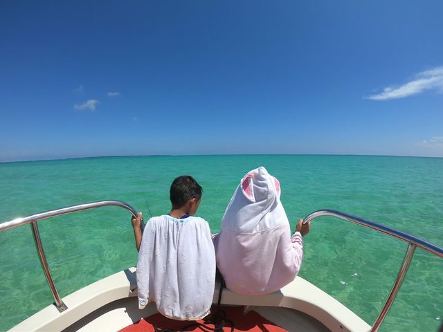 Ponoponoポノポノ