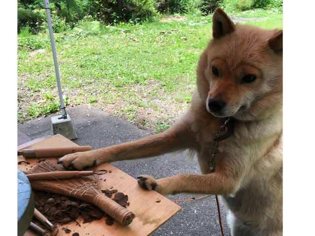 わんちゃんも参加OK
!
この眉毛犬はうちの まりもです たまに手伝ってます 犬嫌いな方は ご遠慮なくお申し付けくださいませ_ぴざかや陶芸くらぶ