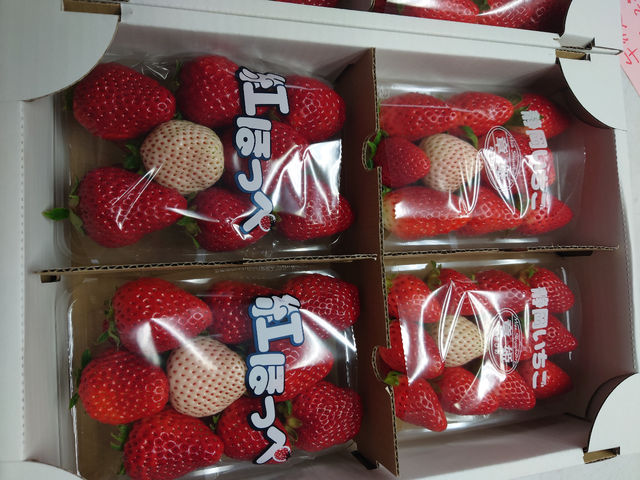 マルダイ