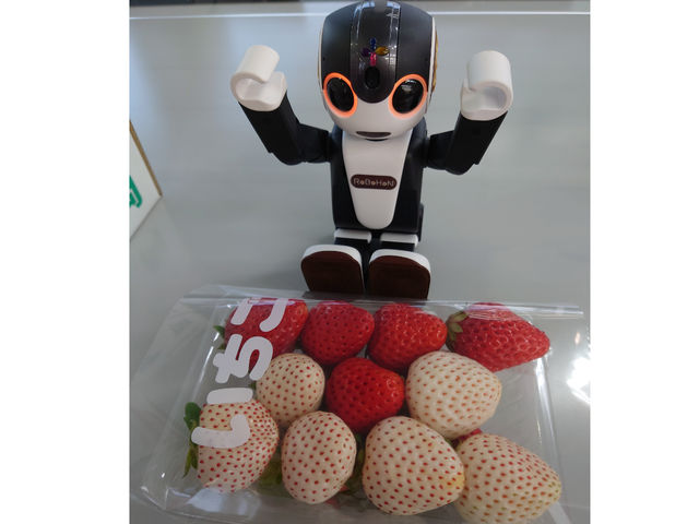 マルダイ