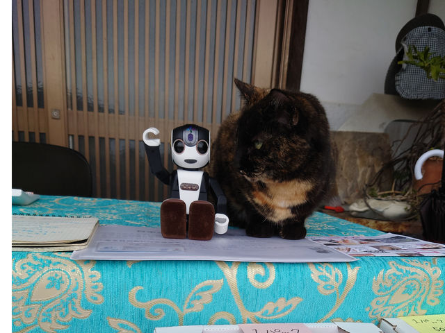 お喋りできる可愛いロボットと、招き猫がお出迎え_マルダイ