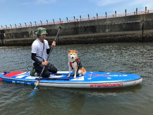 愛犬とSUP_BEACH LIFE