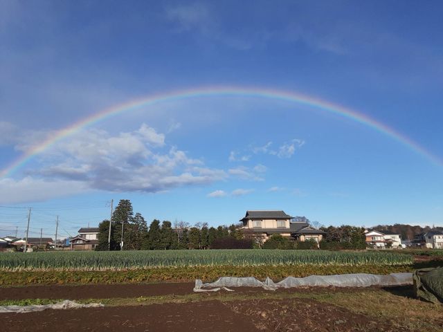 美空ファーム