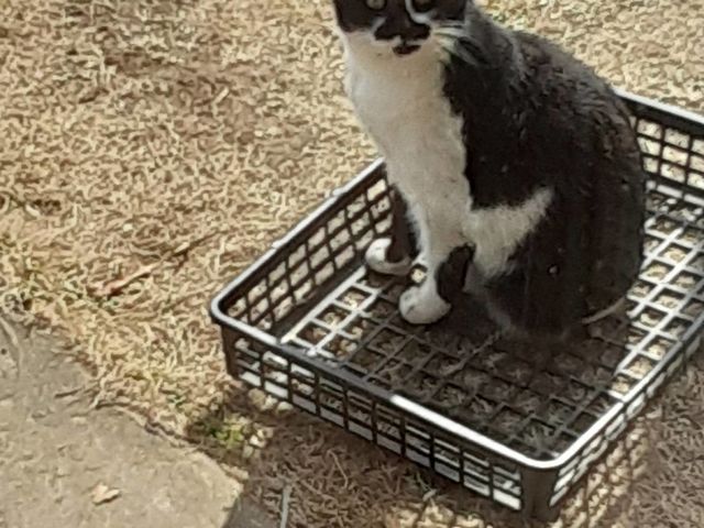 美空ファーム