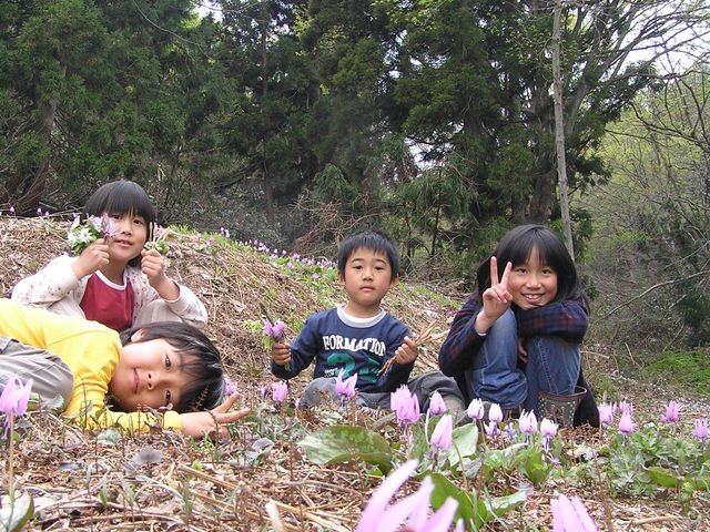 カタクリの花と子供たち_いいやま里の家