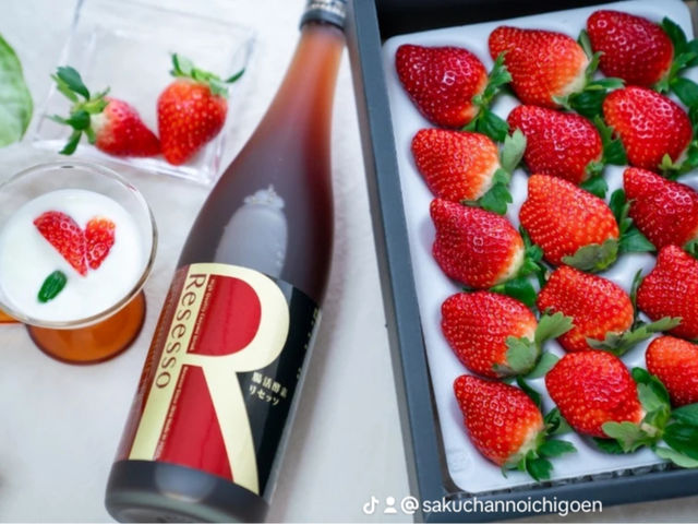 酵素ドリンクを肥料にしています。_さくちゃんのいちご園
