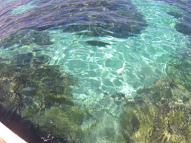 透明度抜群の海_さんご礁の海から