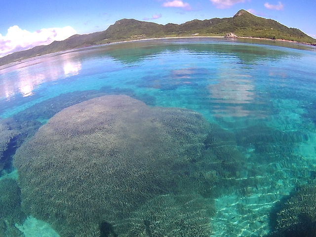 見渡す限りの海は独り占め_さんご礁の海から