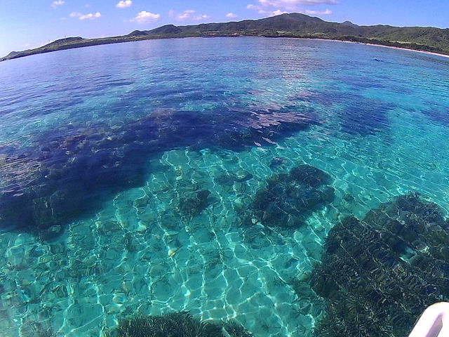 サンゴはいっぱいです。_さんご礁の海から