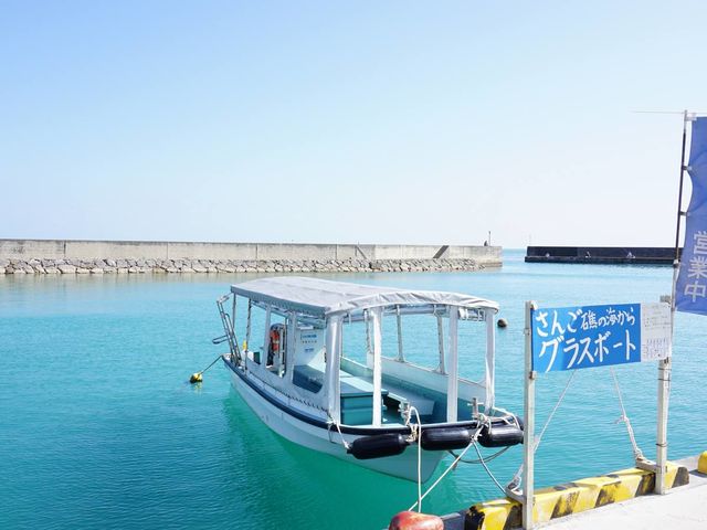 新規開拓エリア、石垣島北部東海岸を楽しむグラスボート_さんご礁の海から