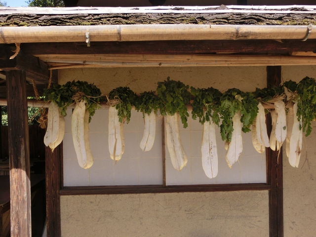 次大夫堀公園民家園