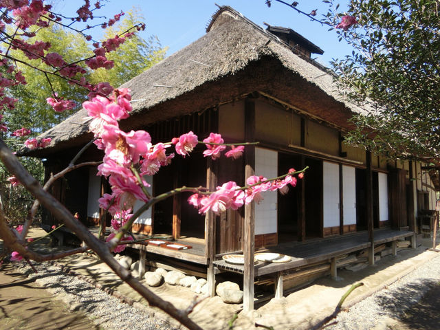 次大夫堀公園民家園