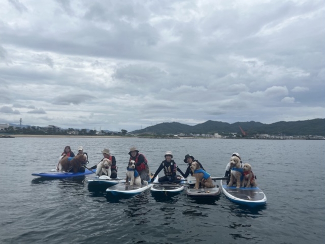 けいのSUP