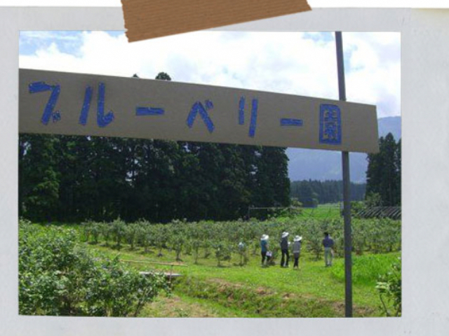 カムロ農園