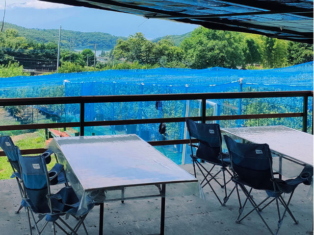 屋根付きの日陰の休憩所があります。_Obina Blueberry Hill