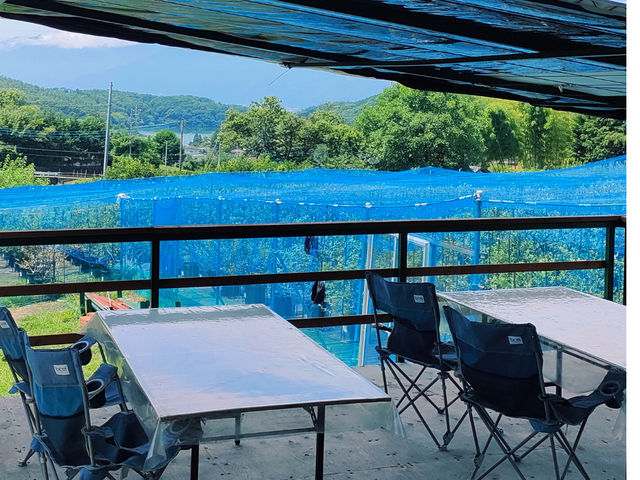 農園を見渡せる、屋根付き休憩所もあります_Obina Blueberry Hill