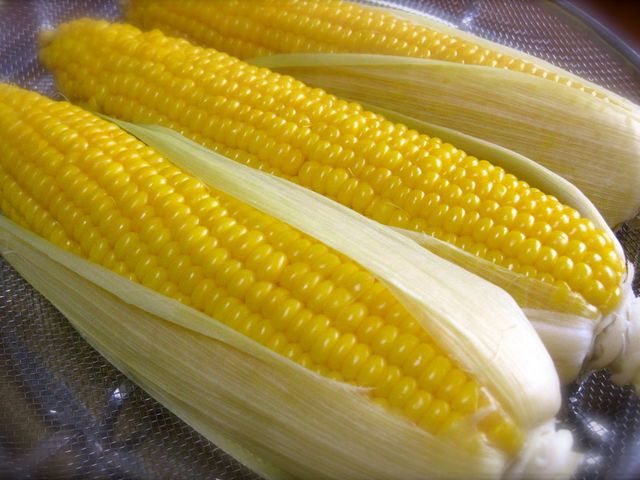 Farm 丸チャン