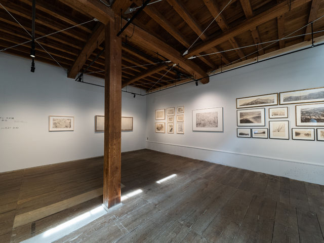 GALLERY COLLAGE