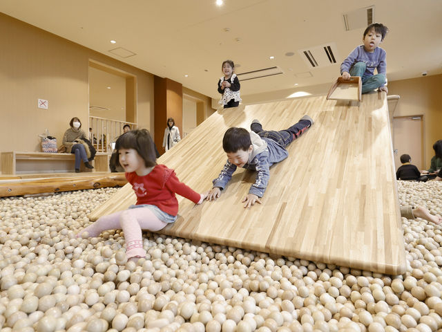 木の室内創造あそび場「感性の森」