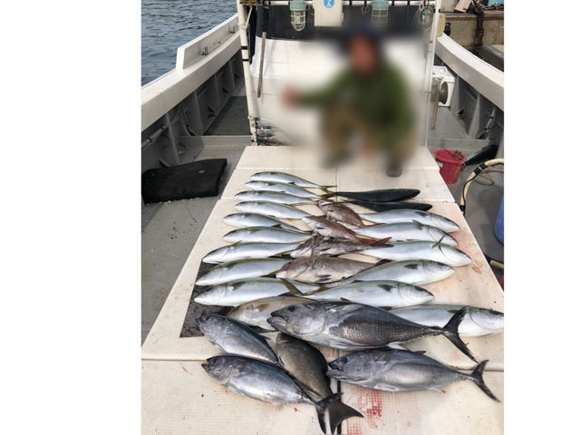 大漁です春の釣果_Iki Fishing Guide