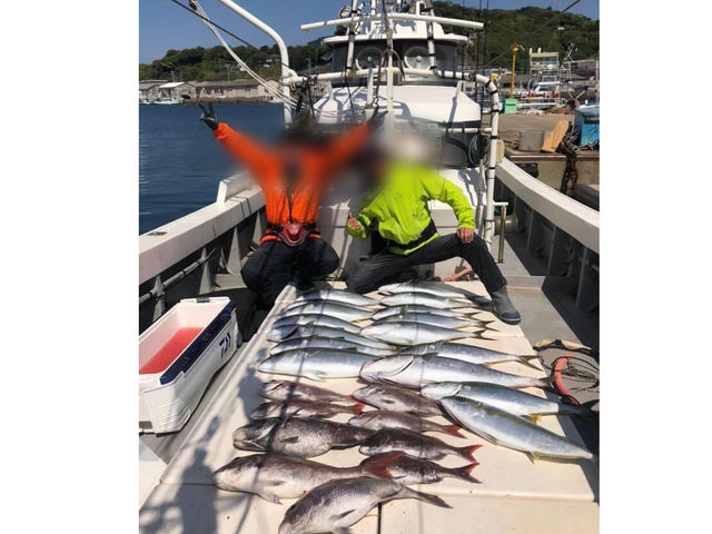 ヒラマサ、ブリ、真鯛春の釣果_Iki Fishing Guide