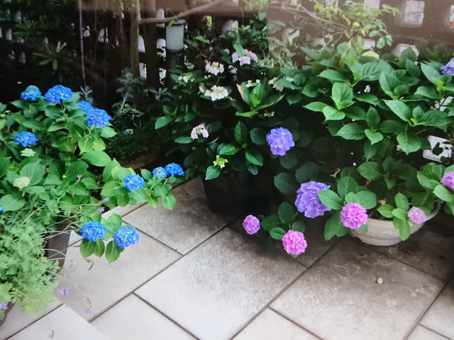自宅玄関前_花音遊人