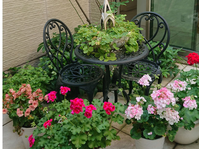癒しのパティオ_花音遊人