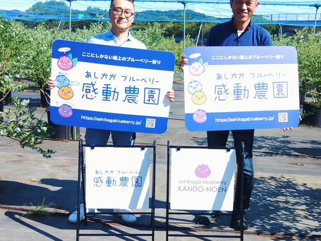 あしかがブルーベリー感動農園