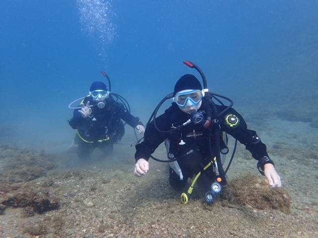 NOAH'S DIVE WAKAYAMA