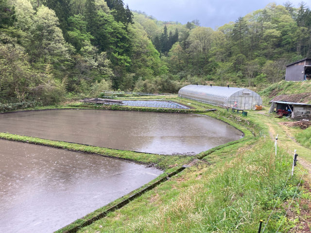 京ら屋の農園全体風景
ハウスと田圃と野菜畑があります。
全体で30アールです。_京ら屋