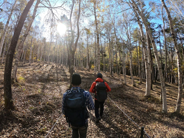 TRAIL HIKES (トレイル ハイクス)