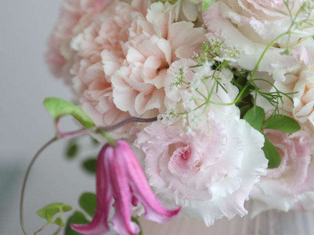 泉 花・Senka