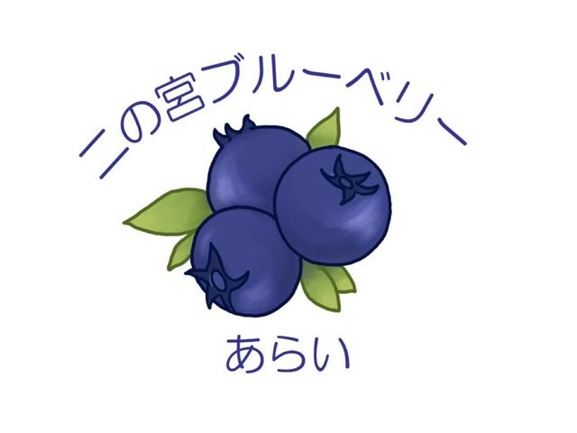 二の宮ブルーベリーあらい