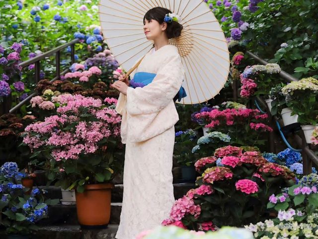 奈良長谷寺のあじさい回廊は最高に綺麗です。_奈良長谷寺きものレンタル