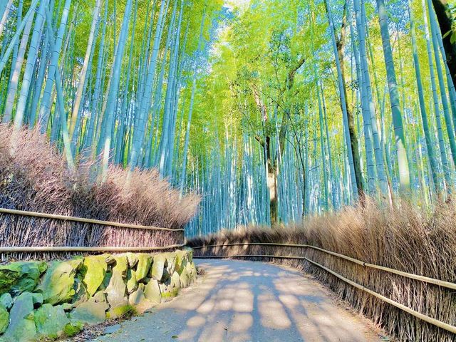 サンメンバーズ京都嵯峨