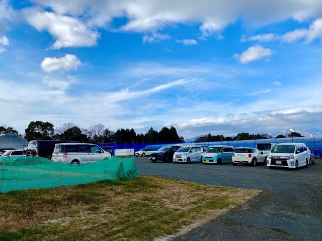 アリスの果実園