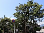 巴御前松公園の写真2