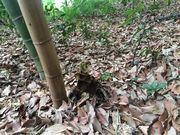 なごみ園 森田の写真2