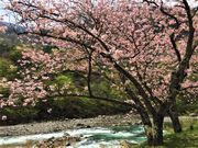 川治温泉まち歩きツアーの写真3